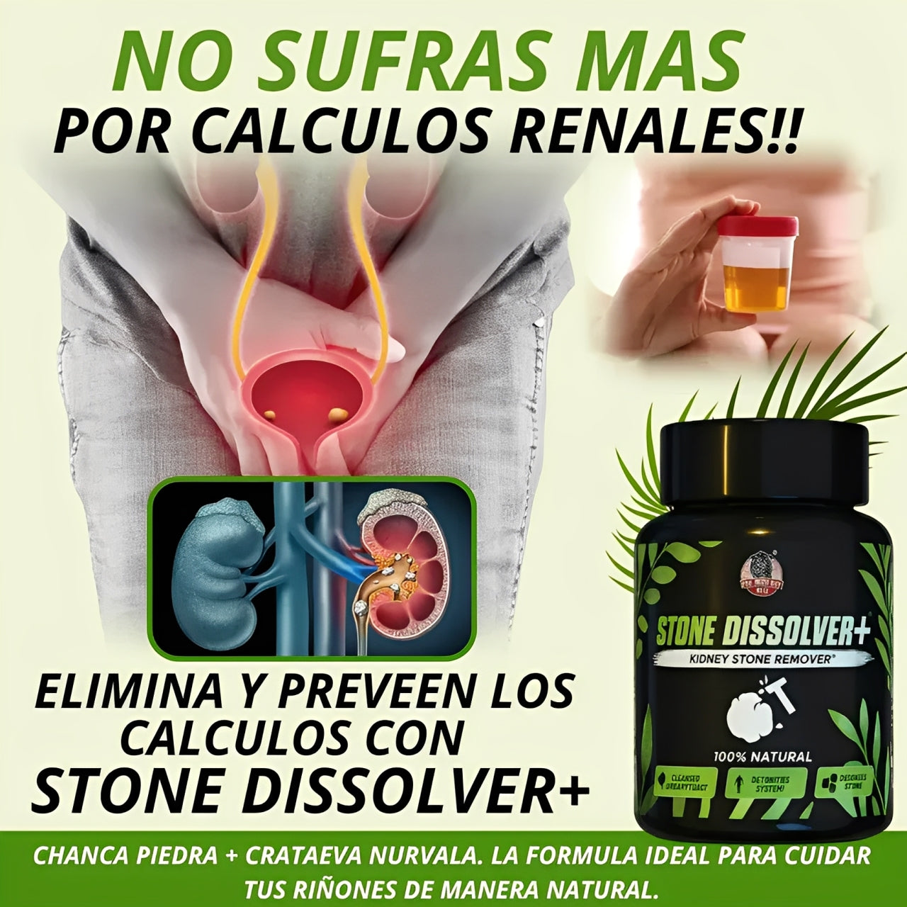 Stone Dissolver | Elimina cálculos renales y desintoxica 100% Natural + ENVIO GRATIS